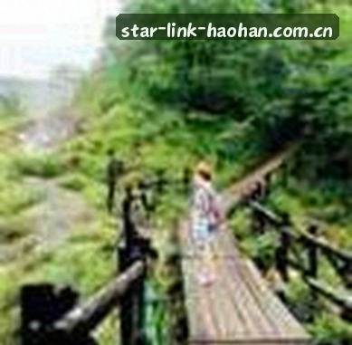 赵磊